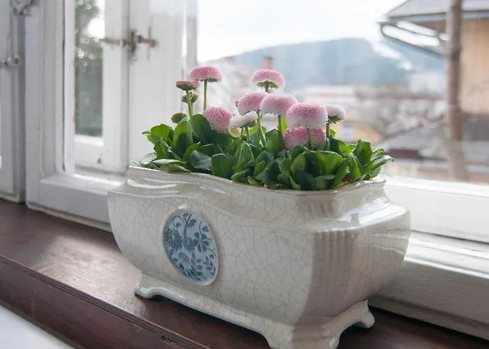 Czerwony Dwor Bed & Breakfast